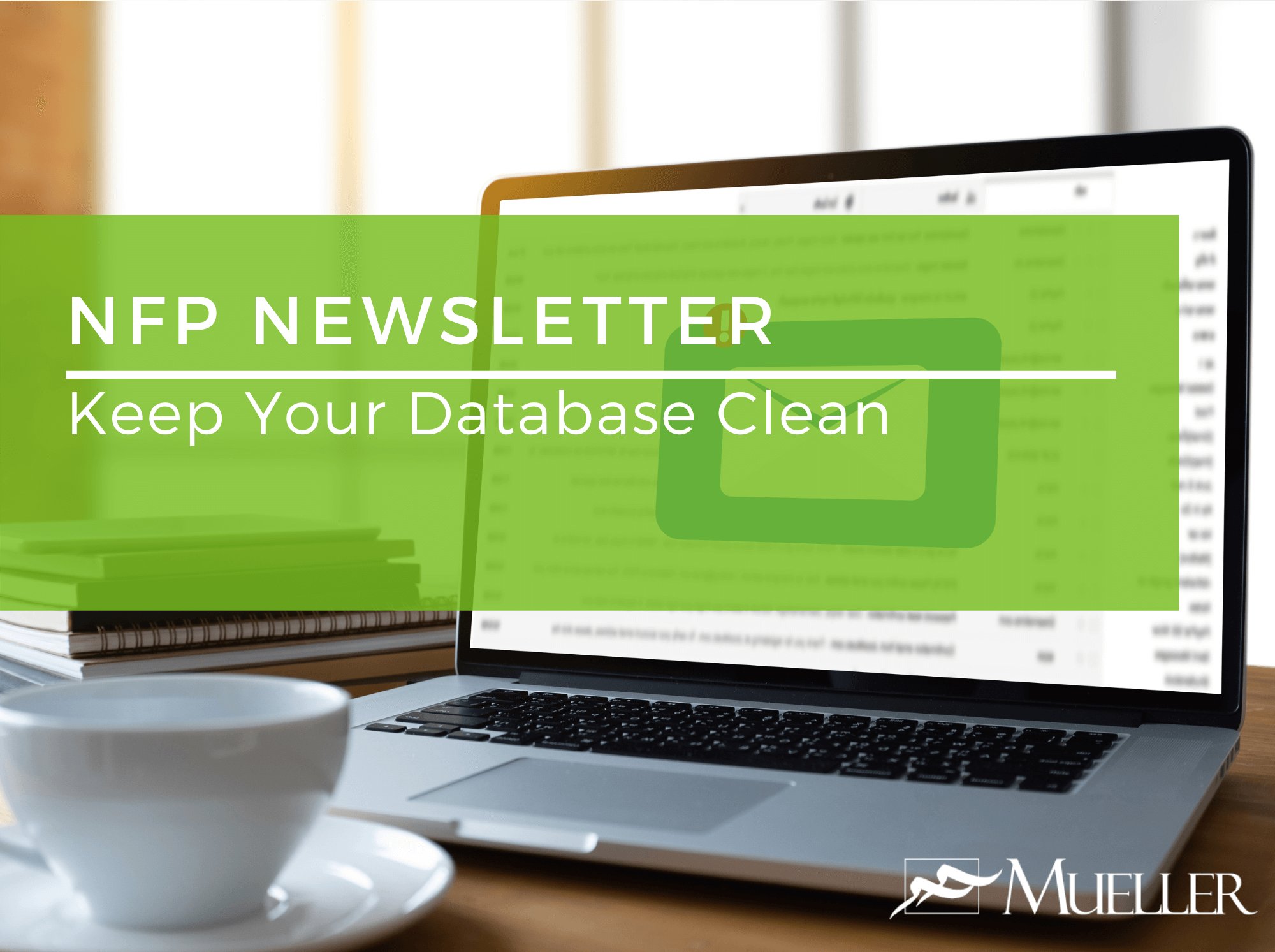 NFP Newsletter - Keep Your Database Clean