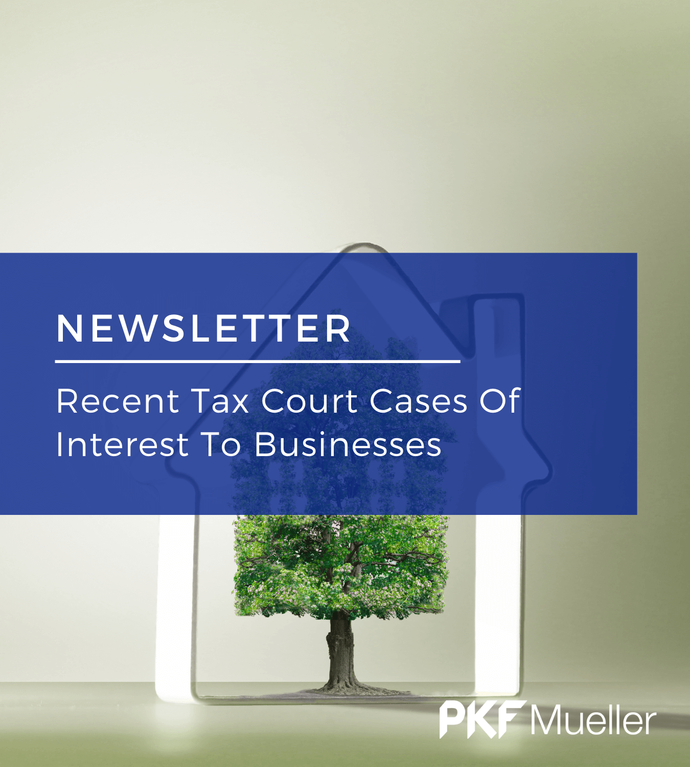 Recent Tax Court Cases Of Interest To Businesses PKF Mueller